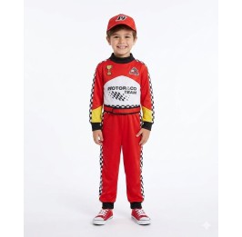 Piloto de Carreras de auto