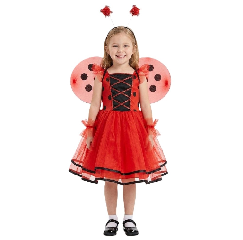 Ladybug