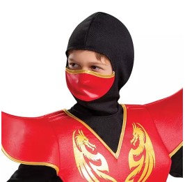 Ninja